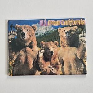 Grizzly Bear Hi From California Fridge Magnet Brown Bear Souvenir USA Kitsch
